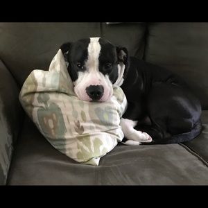 Meet your Posher, Jim